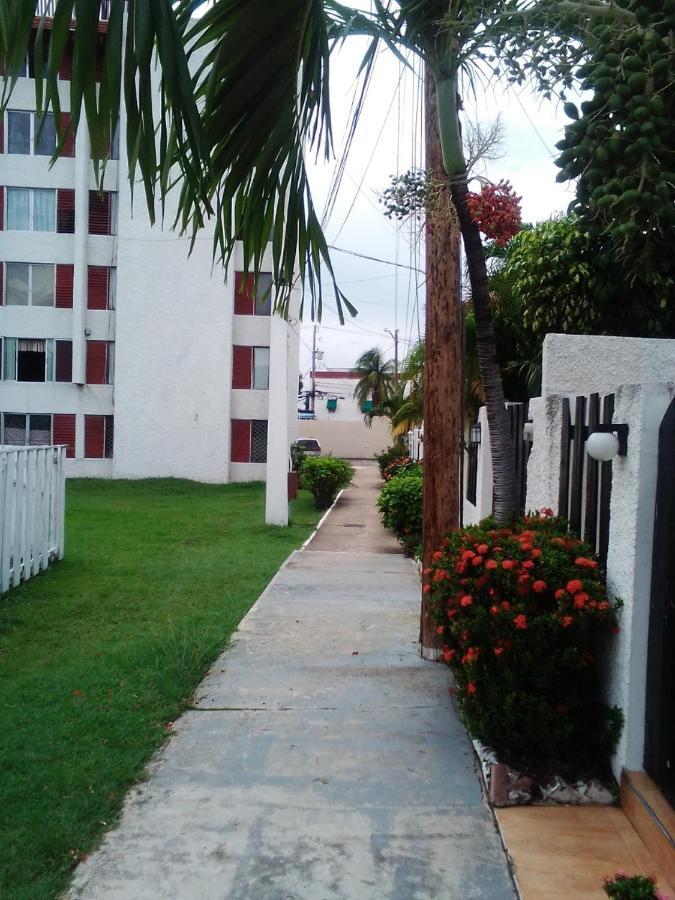 Апартаменты Nice Oakwood Constant Spring Rd Apt Кингстон Экстерьер фото